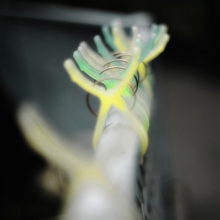 f0167482_2048748.jpg