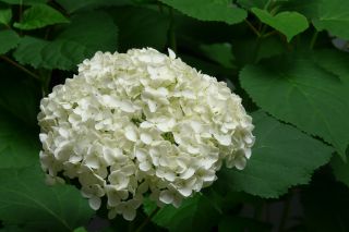 2010年６月１８日     ３時間_b0098584_8523217.jpg