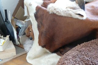 2010年６月１８日     ３時間_b0098584_8541926.jpg