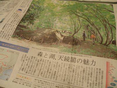 あふれる緑・猪苗代湖畔の森_a0096989_20433779.jpg