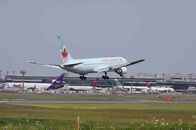 b0138798_158011.jpg