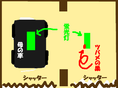 f0164499_833330.jpg