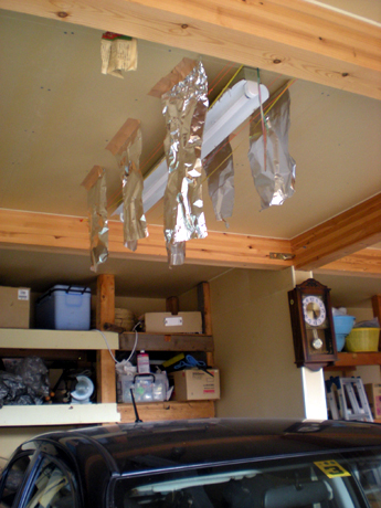 f0164499_8411192.jpg