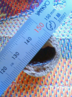 a0123904_1164287.jpg