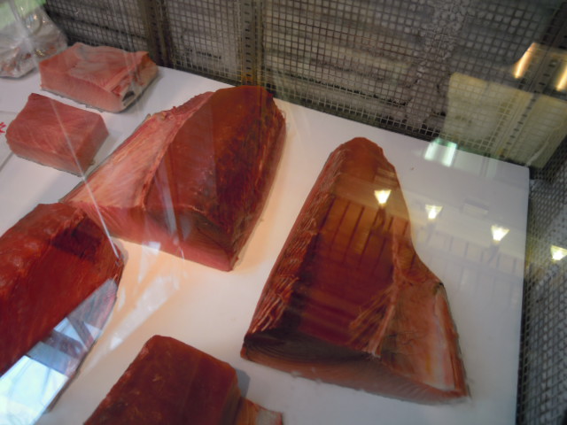 e0028505_1638965.jpg
