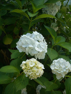f0238106_9194178.jpg