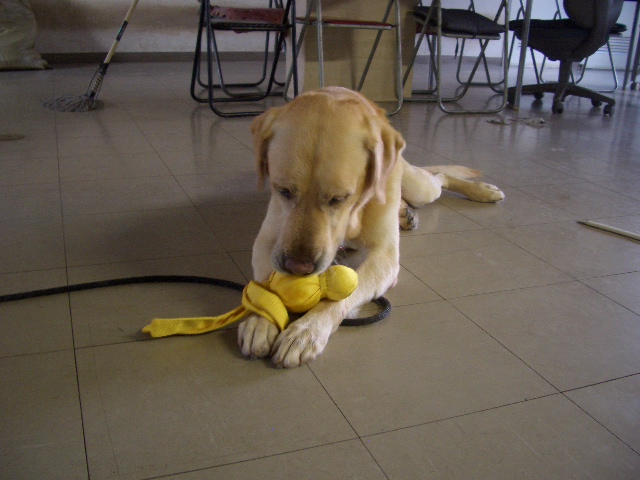 c0116610_10361588.jpg