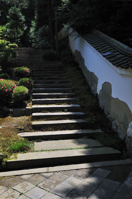 緑萌ゆる頃・東福寺編 其の二_f0032011_1914732.jpg