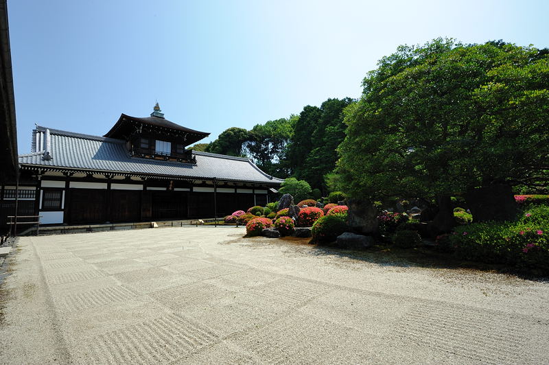 緑萌ゆる頃・東福寺編 其の二_f0032011_1915713.jpg