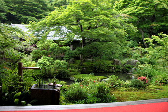 実相院_e0048413_224527100.jpg