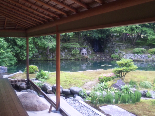 梅雨ですね~_a0169219_1975848.jpg