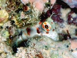 温い海_a0043520_10102759.jpg