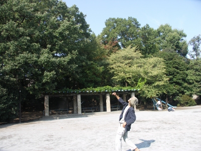 公園で　－石神井公園、武蔵関公園ー_e0059721_21314627.jpg