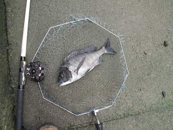 f0031423_1634670.jpg