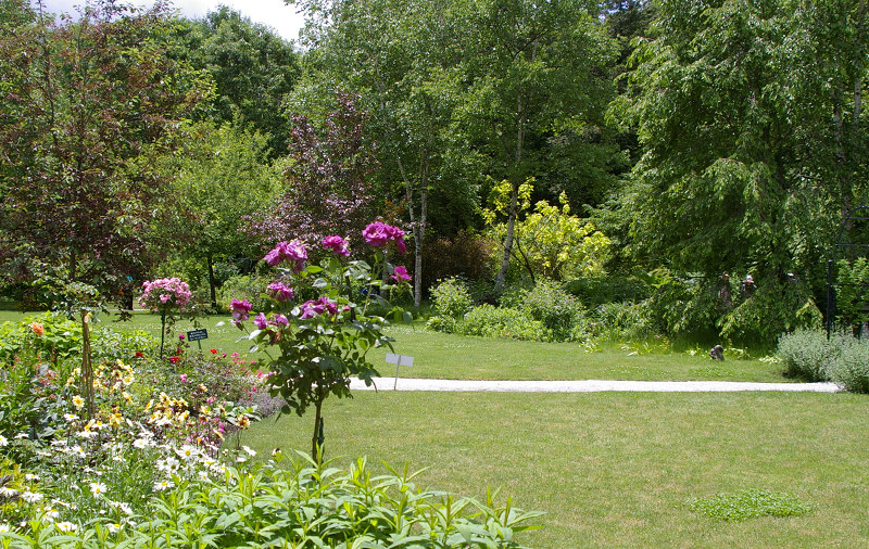 e0136424_1811351.jpg