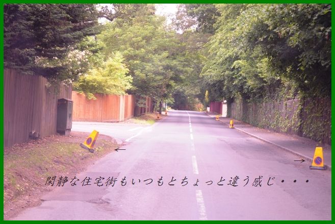 そら豆ポテトのだしバター炒め&ウインザーへ行こう♪_d0104926_4345781.jpg