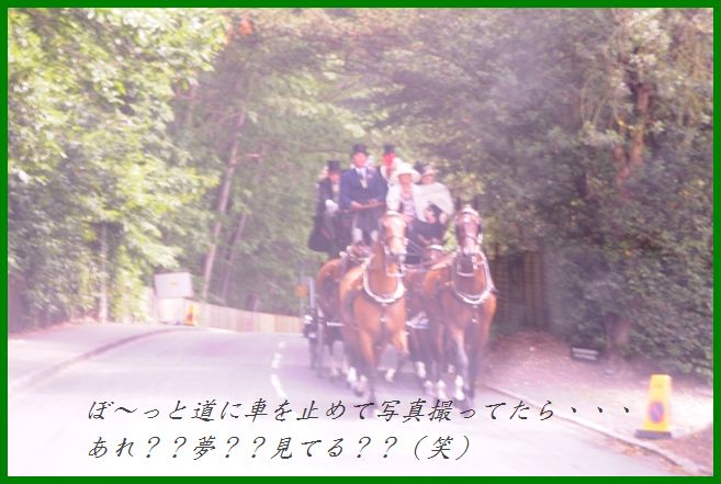 そら豆ポテトのだしバター炒め&ウインザーへ行こう♪_d0104926_4374738.jpg