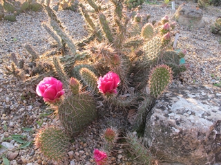 f0224632_15210.jpg