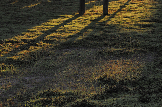 c0093046_8421934.gif