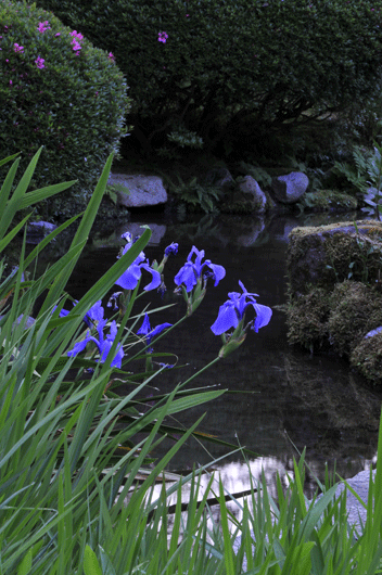c0093046_8423379.gif