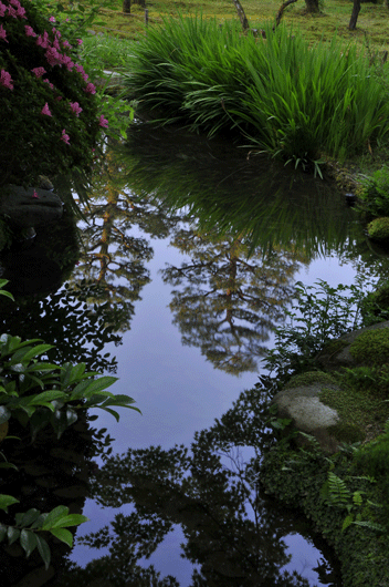 c0093046_8424927.gif