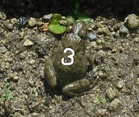 e0172950_2311159.jpg
