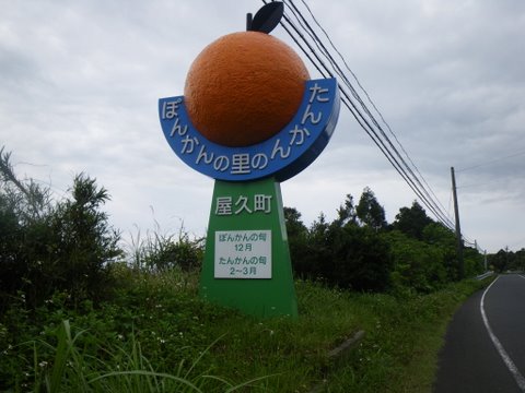 ワンデムタンデム２０１０春：３／３０火／Ｄａｙ８／屋久島ライダーハウスー２_f0046250_1510593.jpg