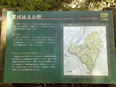 e0195952_15165515.jpg