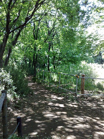 e0195952_15173257.jpg