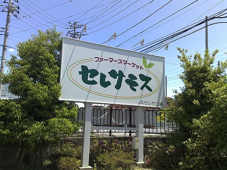e0195952_1523671.jpg