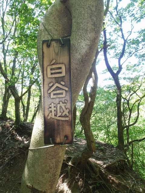 c0097754_21271290.jpg
