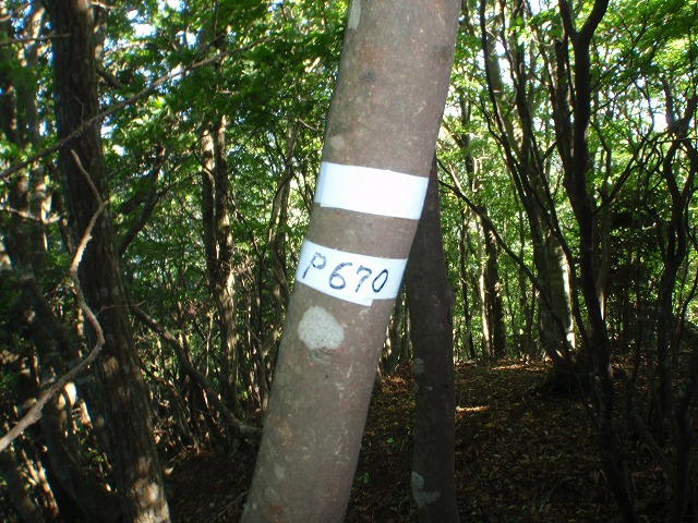 c0097754_21303695.jpg
