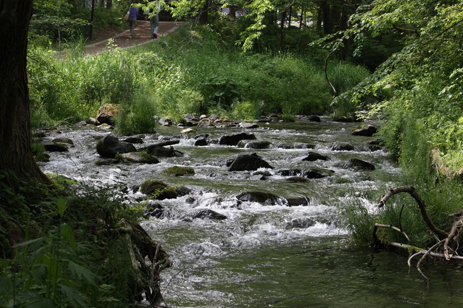 e0129656_23171841.jpg