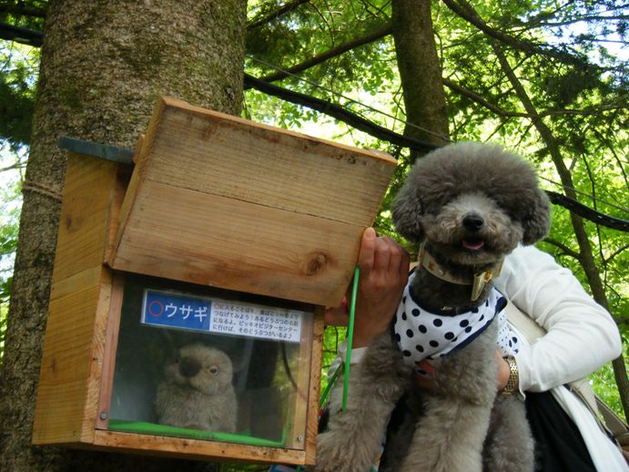 初夏の旅 in 軽井沢 　(『星野温泉エリア』編）_e0129656_23174533.jpg