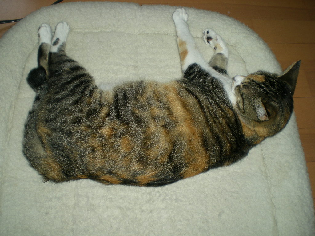 2010年6月19日(土)お姉ちゃんの沽券!_f0060461_1024211.jpg