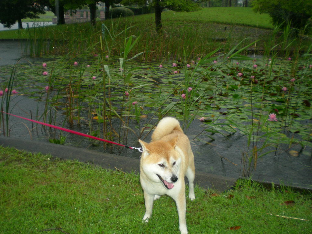 2010年6月19日(土)お姉ちゃんの沽券!_f0060461_9165016.jpg