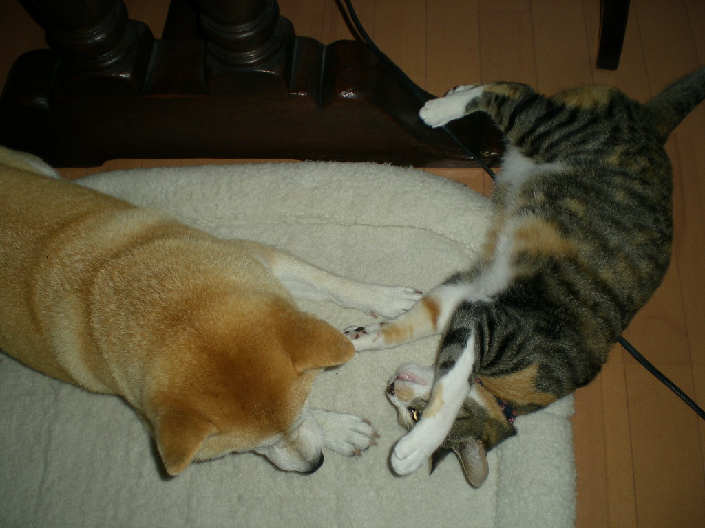 2010年6月19日(土)お姉ちゃんの沽券!_f0060461_9202593.jpg