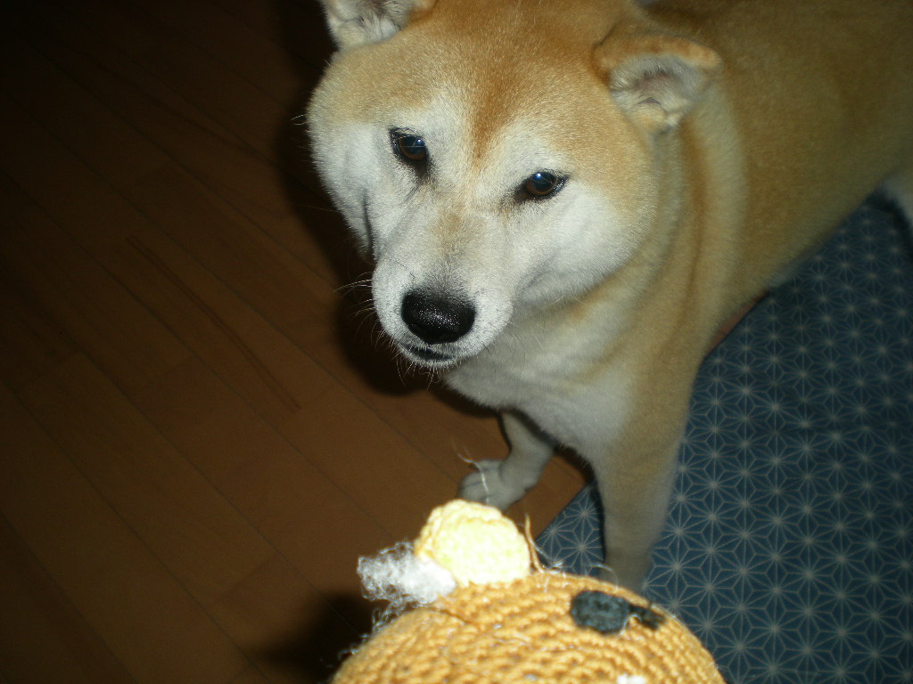 2010年6月19日(土)お姉ちゃんの沽券!_f0060461_927123.jpg