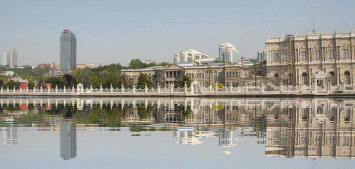 f0182571_20142514.gif