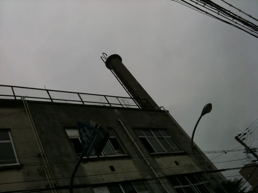 蝉ファイナルin京都_e0142672_14352143.jpg