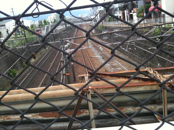 蝉ファイナルin京都_e0142672_1439144.jpg