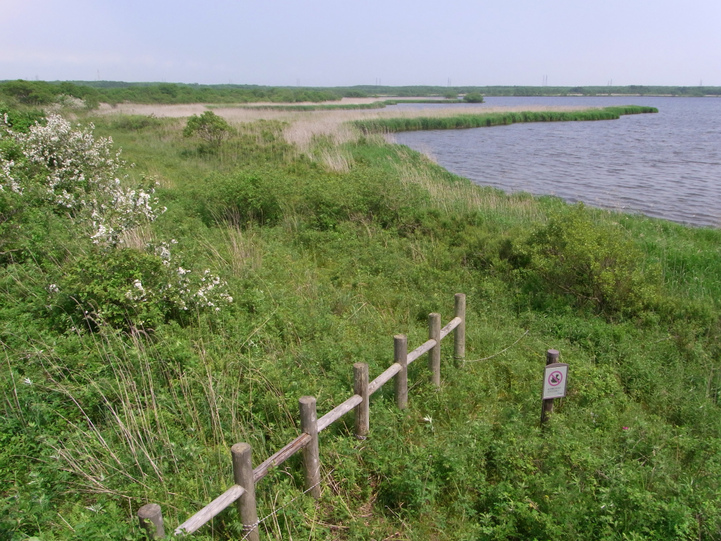e0046474_1131137.jpg