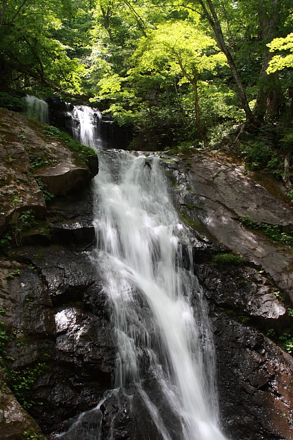 e0165983_1641759.jpg