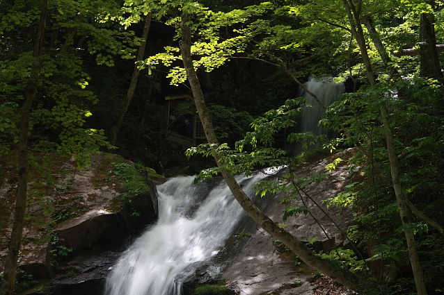 飛騨国府　宇津江四十八滝公園　滝巡り　最終回_e0165983_1663071.jpg