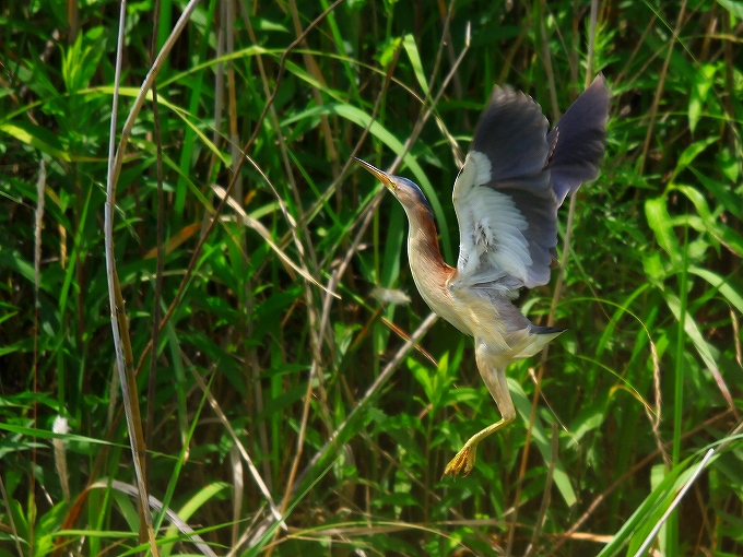 c0213690_21217.jpg
