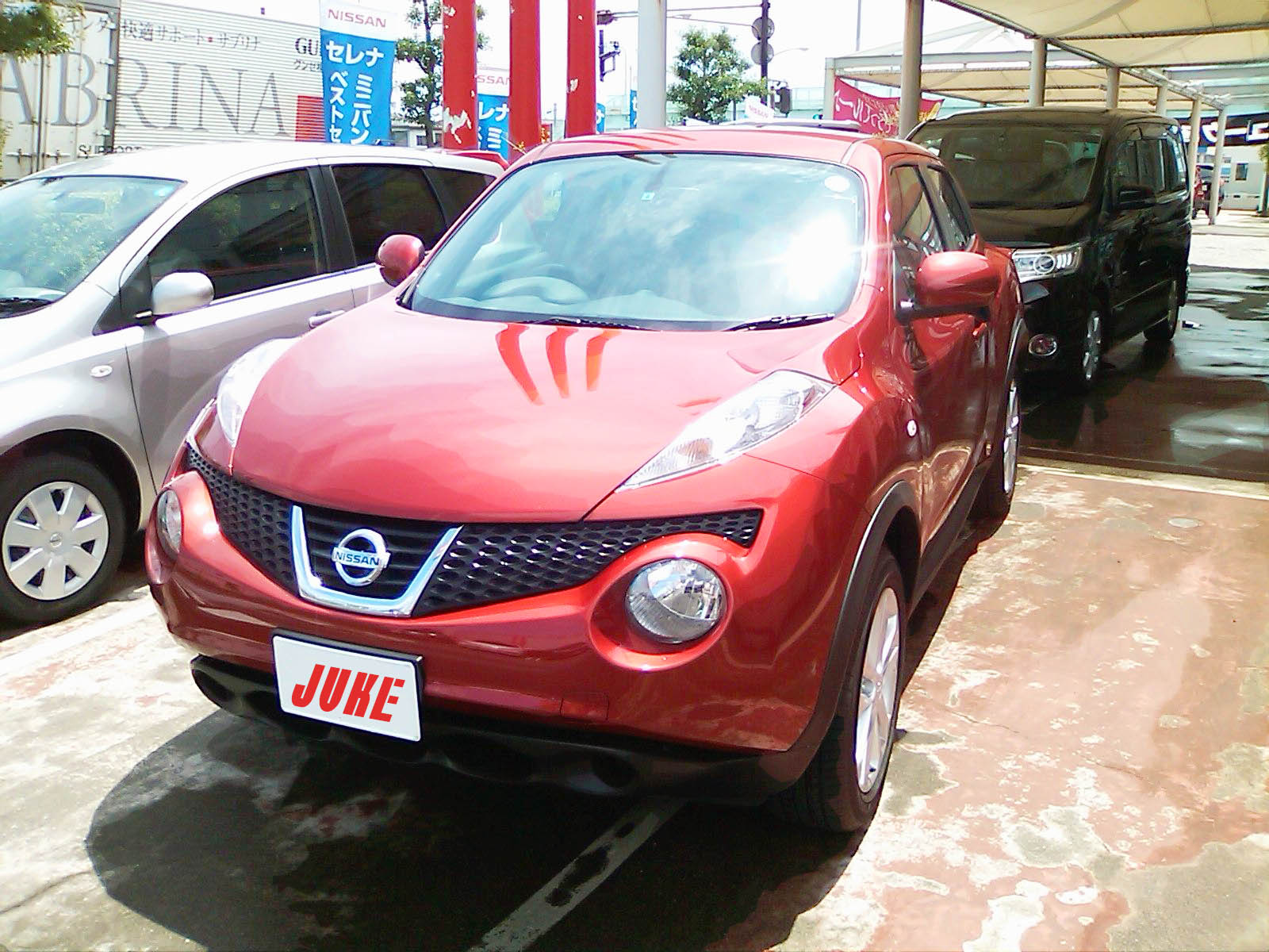 日産ＪＵＫＥ（ジューク）_c0184491_17411632.jpg