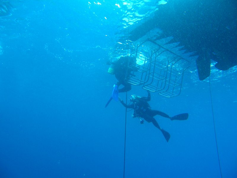 宮古島ダイブ148～150本　伊良部島_c0118393_12322197.jpg