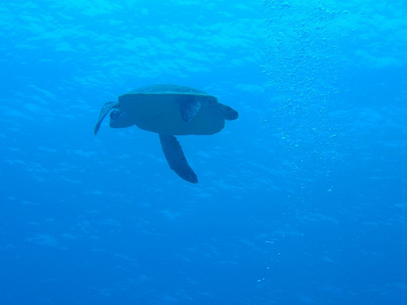 c0118393_17405145.jpg