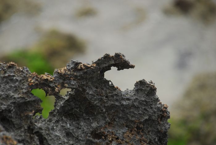 『八重山諸島ポタ／黒島を巡る』 yp-54_a0104495_0515392.jpg