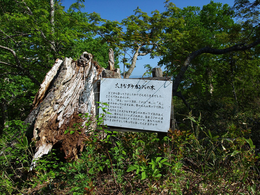 暑さと虫の攻撃に耐えて　　神居尻山　　2010.6.12_f0200402_125223.jpg